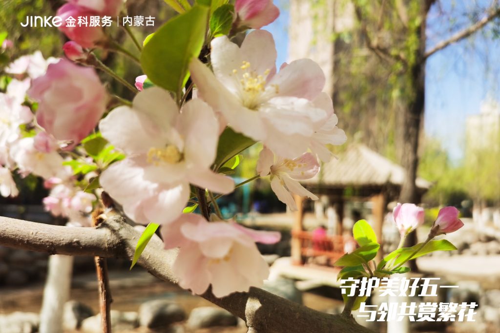 2024年4月守护美好拍摄