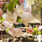2024年4月守护美好拍摄